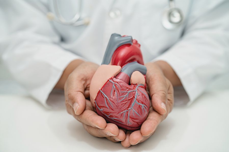 Enfermedades cardiovasculares.