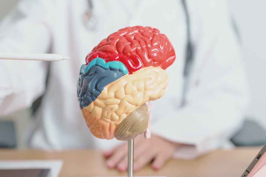 Enfermedades neurodegenerativas.